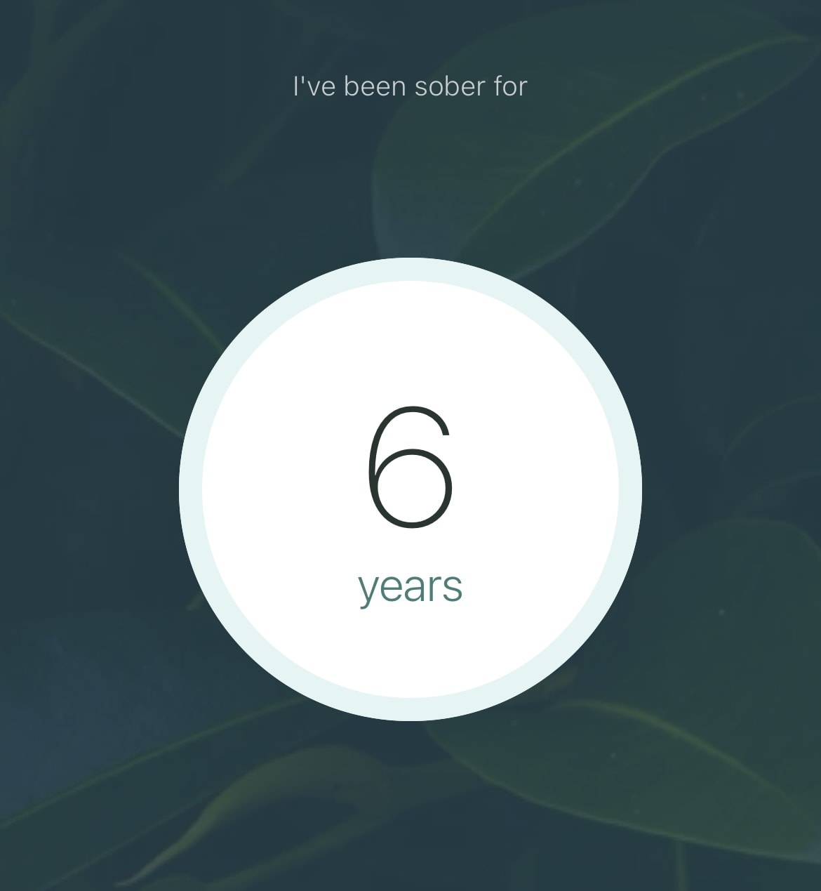 I &rsquo;ve been sober for six years